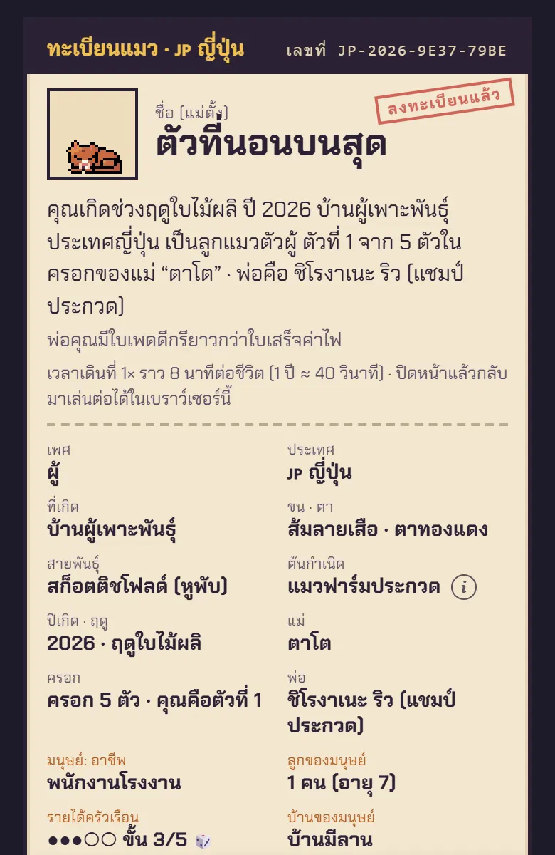 ลูกแมวสก็อตติชโฟลด์ที่เกิดในฟาร์มที่ญี่ปุ่น