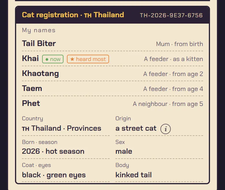 A Thai street cat: “Tail Biter” from mum, then four names from feeders and a neighbour.