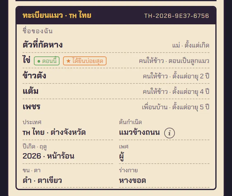 แมวจรไทย: ชื่อ “Tail Biter” จากแม่ แล้วได้อีก 4 ชื่อจากคนให้อาหารและเพื่อนบ้าน