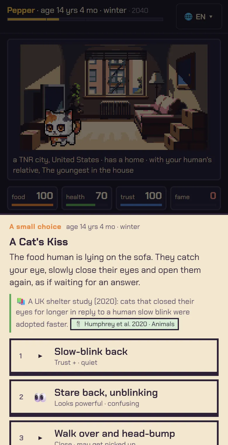 A cat's kiss: a slow blink across the room.
